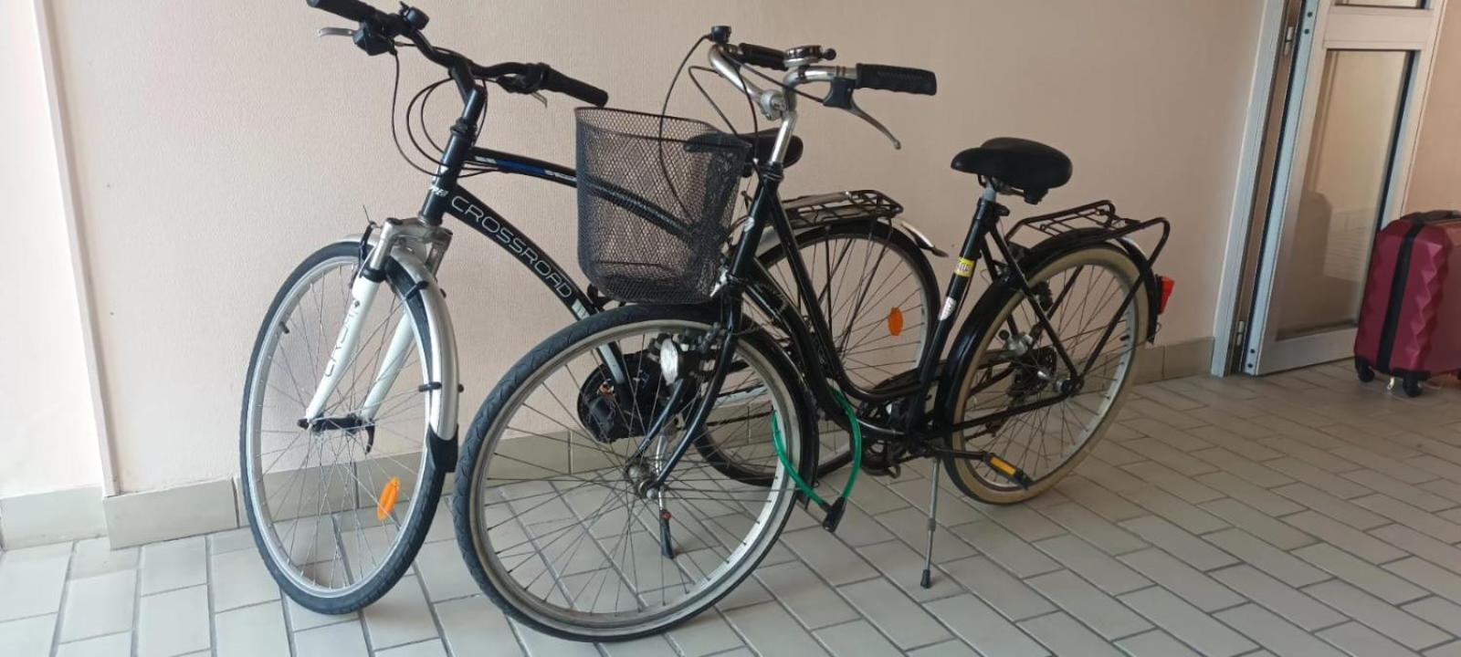 Appartement Cocon A Quiberon Dans Residence Calme, Plages Et Centre Ville A Pied Ou A Velo Pour 2 A 4 Personnes Exterior foto